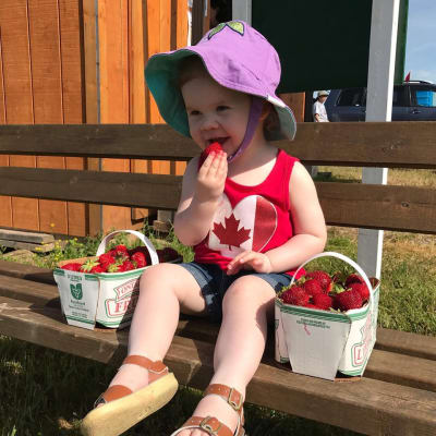 Photo from HAPPY CANADA DAY FROM DALNAVERT KENNELS !