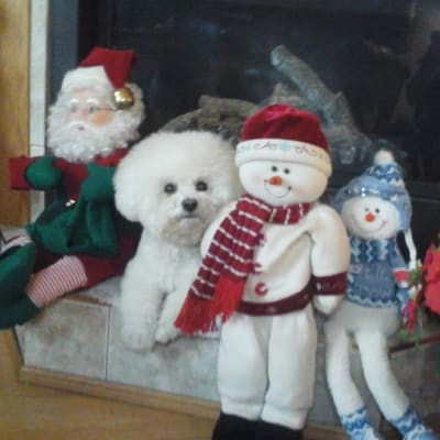 Photo from MAGGIE RUSSELL WISHES EVERYONE A MERRY CHRISTMAS