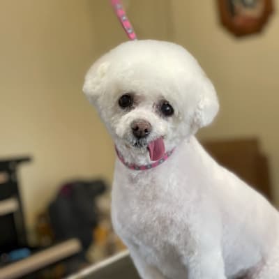 Photo from FRESHING UP FOR SPRING !