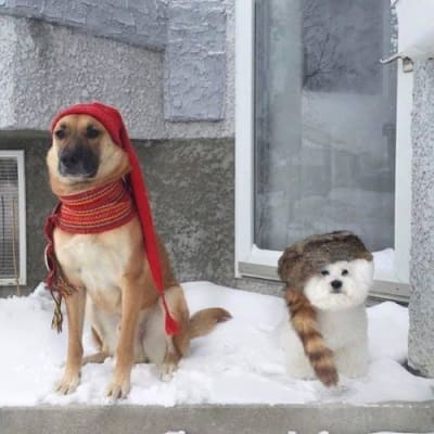 Photo from FESTIVAL DU VOYAGEUR WEEK !