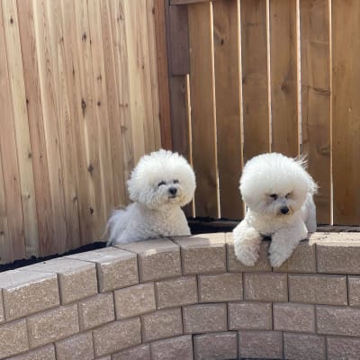 Photo from GARDENING PREPARATIONS !