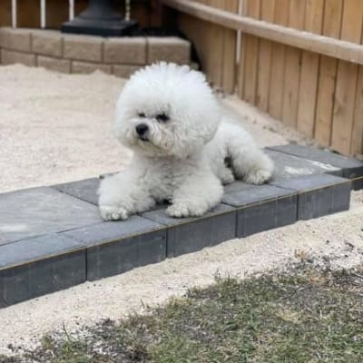 Photo from SENIOR PATIO SUPERVISOR...