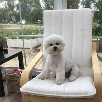 Photo from KEEPING COOL. DURING A HOT SUMMER!