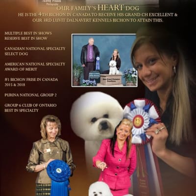 Photo from DALNAVERT AND LUVIT ACCOMPLISHMENTS- ROBBIE