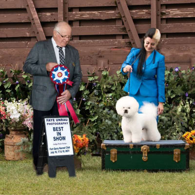 Photo from DAY 2 OF THE MANITOBA CLUSTER SHOWS IS A SUCESS FOR ICE