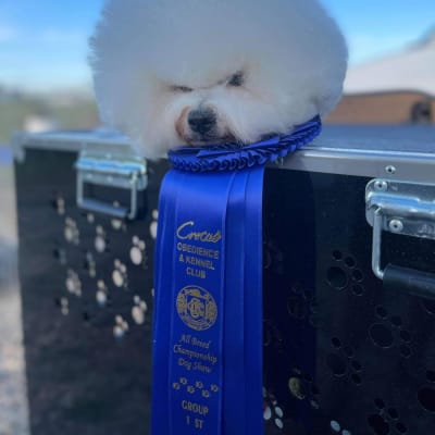 Photo from DAY 3 OF THE MB CLUSTER - ALL GOOD THINGS MUST COME TO AN END!