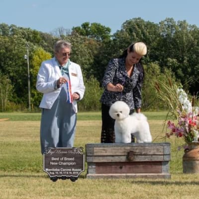 Photo from CH. LUVIT DALNAVERT'S NALA GHVES WET KISSES