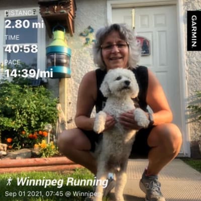 Photo from BICHON FRISE ARE A VERSITILE BREED