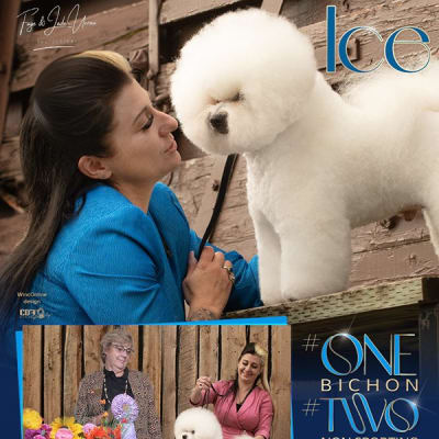 Photo from BRANDON DOG SHOW STILL COVERED IN "ICE"