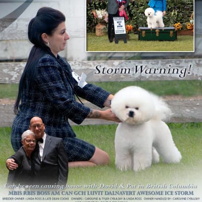 Photo from THERE IS AN " ICE STORM"  COMING TO THE WEST COAST...