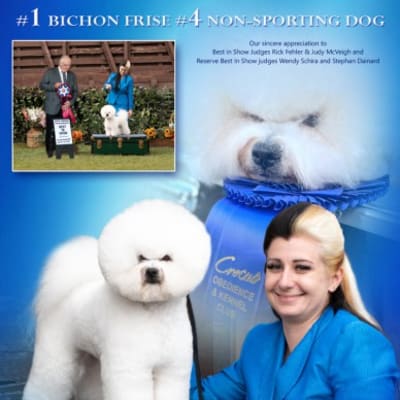 Photo from CHILLIWACK SHOW RESULTS ....