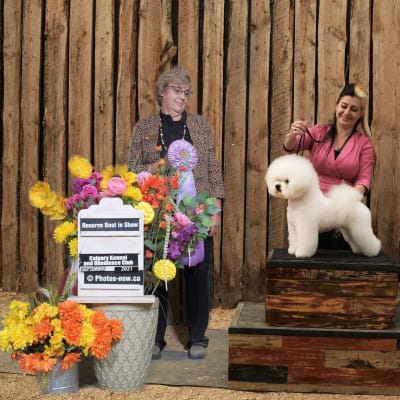 Photo from RESERVE BEST IN SHOW