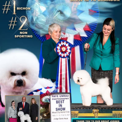 Photo from ICE STORM HEADED FOR LETHBRIDGE