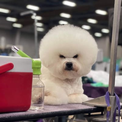 Photo from TIME FOR A BREAK BETWEEN SHOWS..