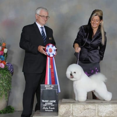 Photo from HAPPY 9TH BIRTHDAY ROBBIE !