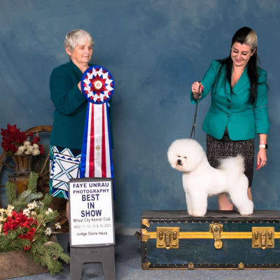 Photo from BEST IN SHOW FOR THE ICE-SENSATION !