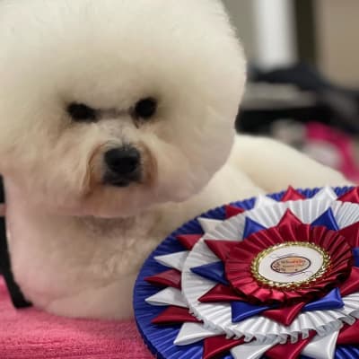 Photo from THE "ICE STORM'S" JOURNEY....