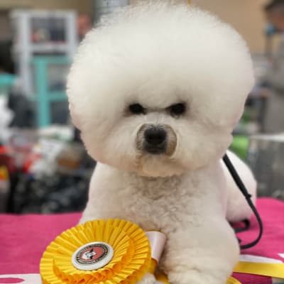 Photo from A VERY SUCCESSFUL WEEKEND IN BURLINGTON FOR "ICE"