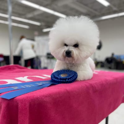 Photo from PRINCE ALBERT SEES ONE FINAL ICE STORM FOR THE YEAR.