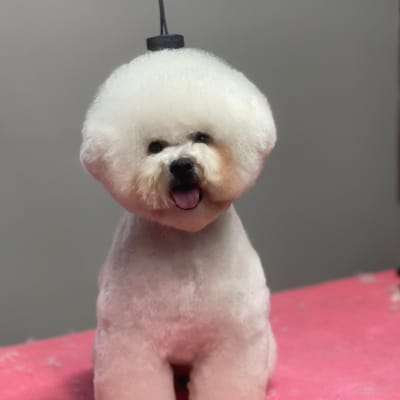 Photo from CONGRATULATIONS TO CRYSTAL!