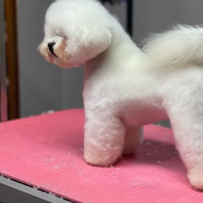 Photo from THE ICE STORM CONTINUES... WATCH FOR THE "ICE CRYSTAL"