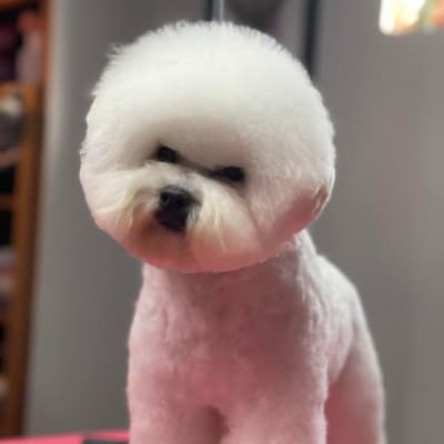 Photo from ANOTHER ICE BABY MAKING HER DEBUT IN CALGARY !