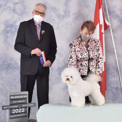 Photo from ICE DAUGHTER "FERGIE" NEW CHAMPION !