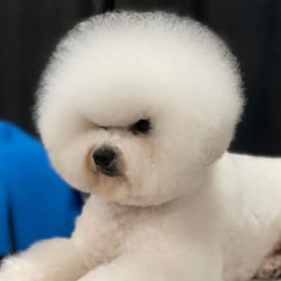 Photo from ICE TAKES GROUP 4 IN CALGARY