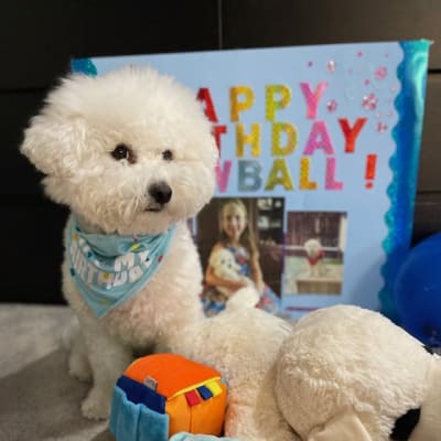 Photo from ALWAYS FUN TO CELEBRATE A BIRTHDAY !