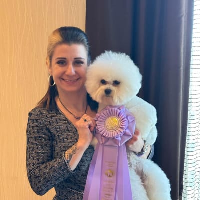 Photo from WHEAT CITY DOG CLUB SHOW IN BRANDON,MB THIS WEEKEND