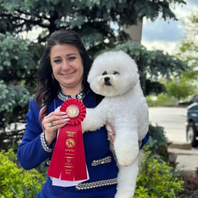 Photo from BFCA NATIONAL IN CHICAGO A SUCCESS FOR DALNAVERT KENNELS !