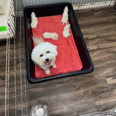 Photo from NAIOMI AND MARKEY 'S GIRLS !