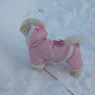 Photo from Latest Canadian Winter Fashions!