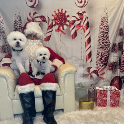 Photo from Merry Christmas to All of You!