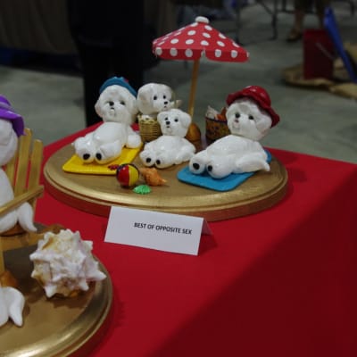 Photo from BFCC 18th National Specialty 2011 Winnipeg, MB