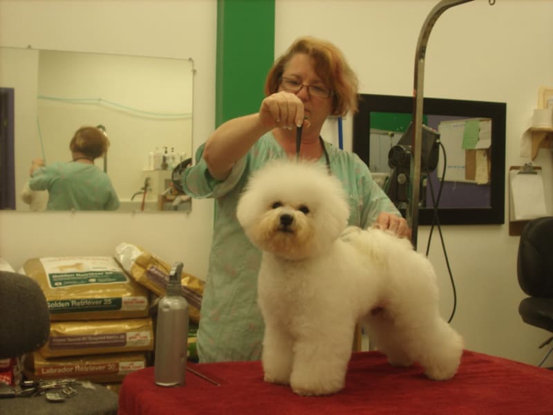 October-It's About "time" You Met Tony!