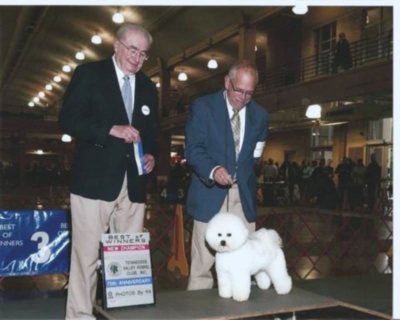 Dalnavert's New American Champion!