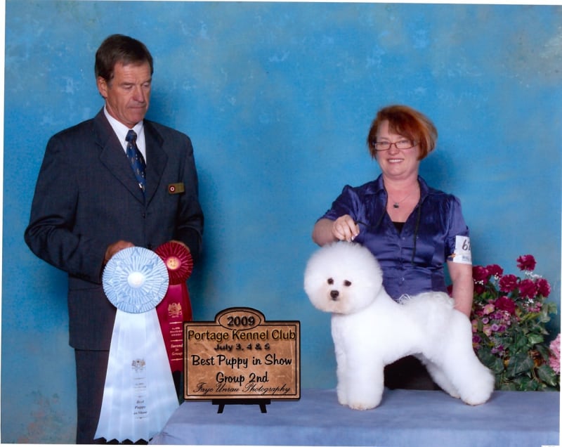 "Hugs", back In The Canadian Show Ring