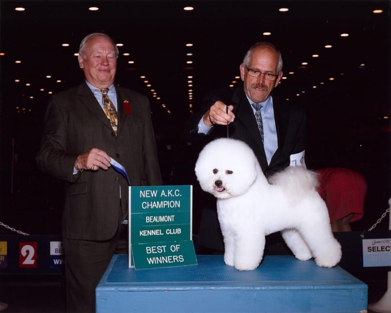 AM. CH. Luvit's A Rolex Yacht-Master At Dalnavert