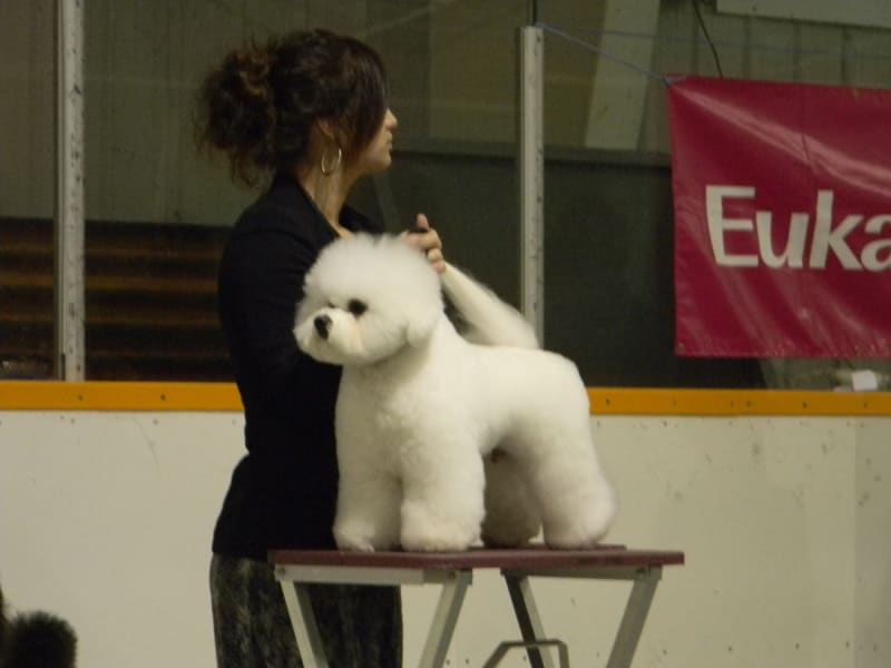 DeeDee Has Fun In The Show Ring