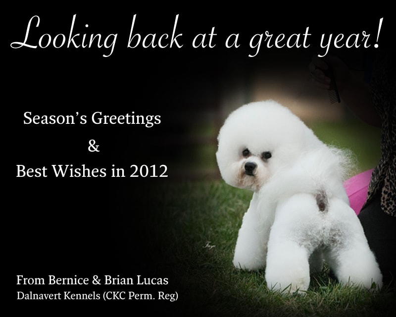 MERRY CHRISTMAS AND HAPPY NEW YEAR FROM DALNAVERT KENNELS