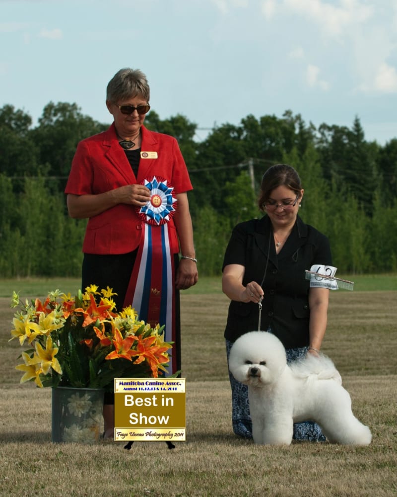 AMERICAN GRAND CHAMPION TITLE AWARDED TO LEX !