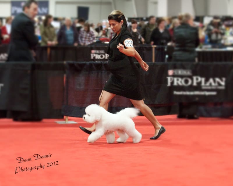 LEX IS IN THE USA.....