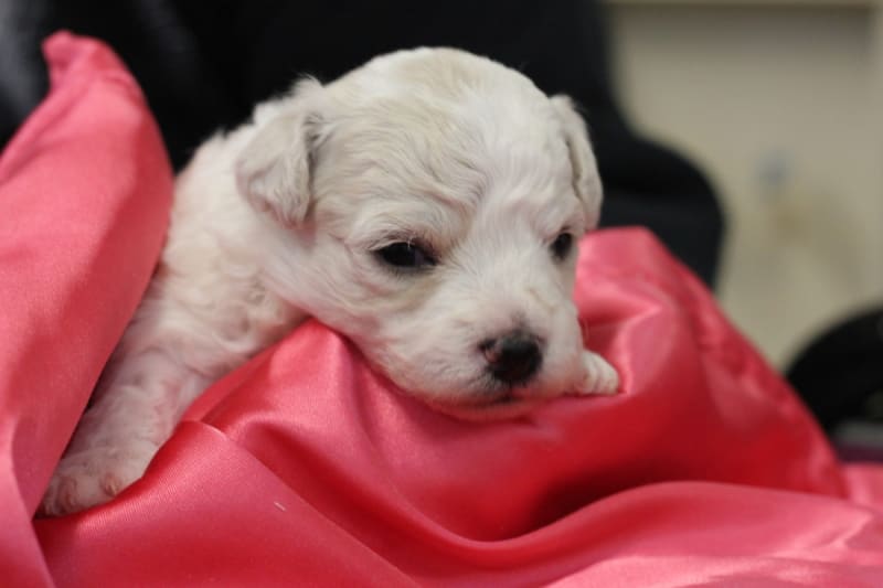 I'm one of the girls...