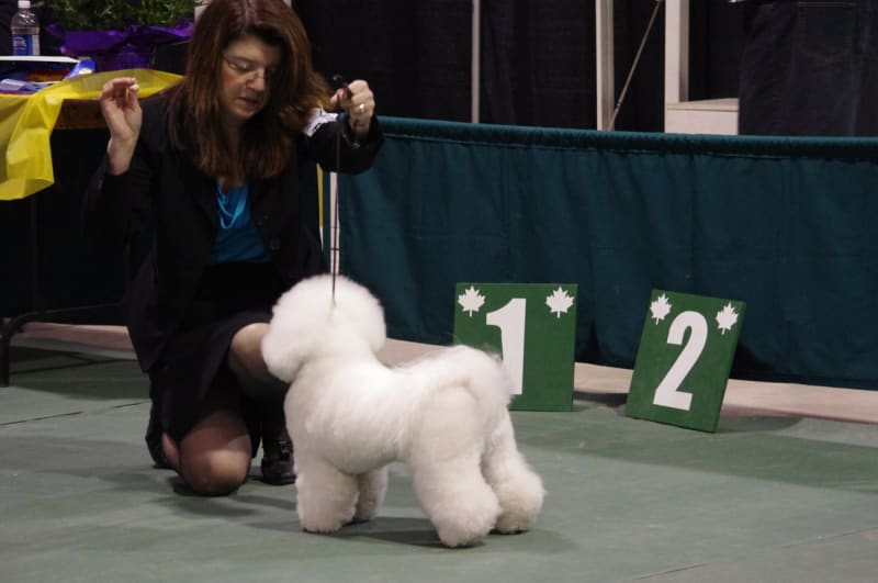 CONGRATULATIONS  TAZ ..........