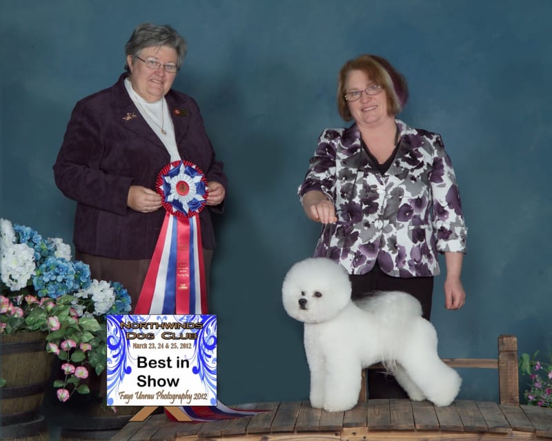 BEST IN SHOW......MARCH 2012