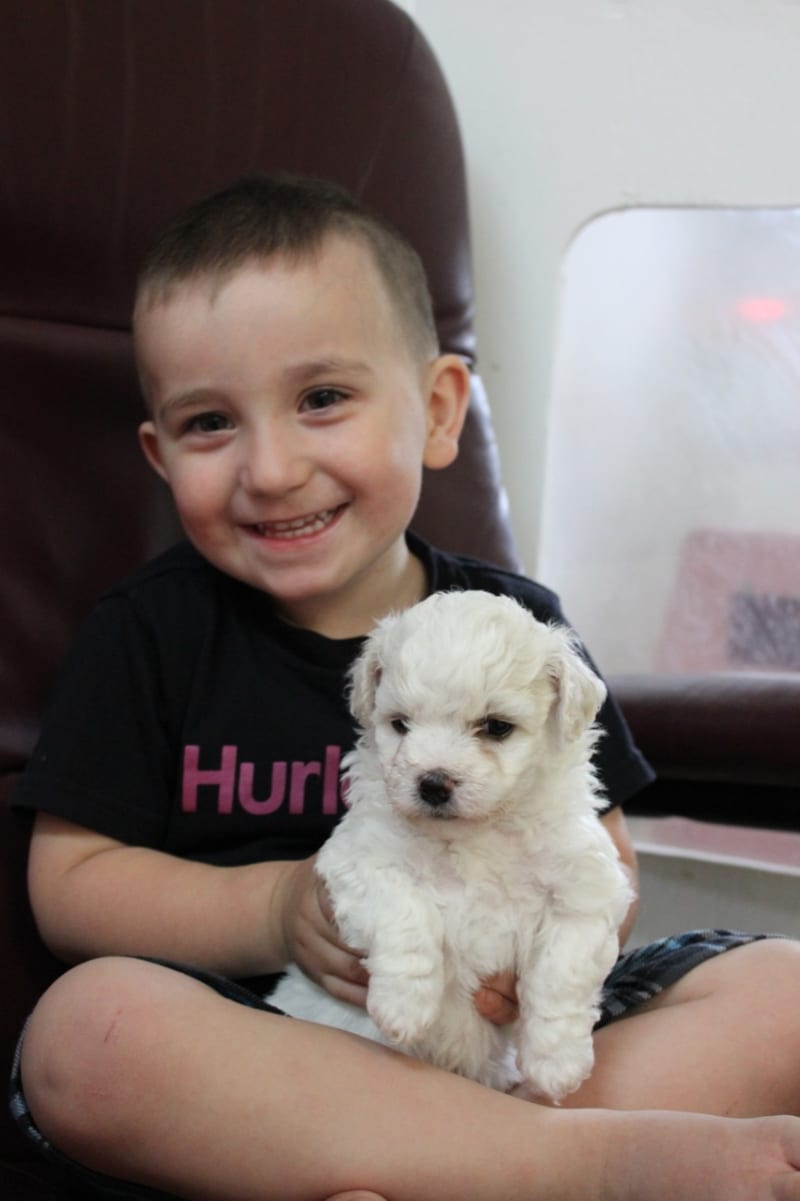 A visit to Grandma and Grandpa's house....