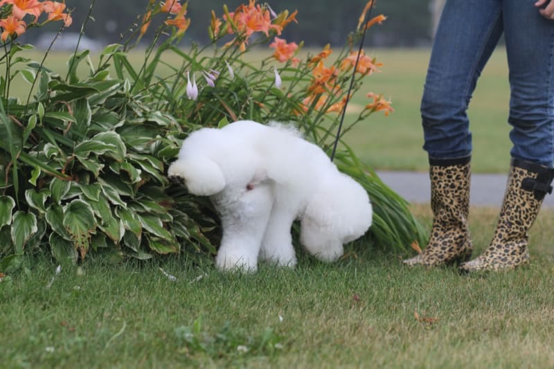 Another perspective on the "hot days of summer"!