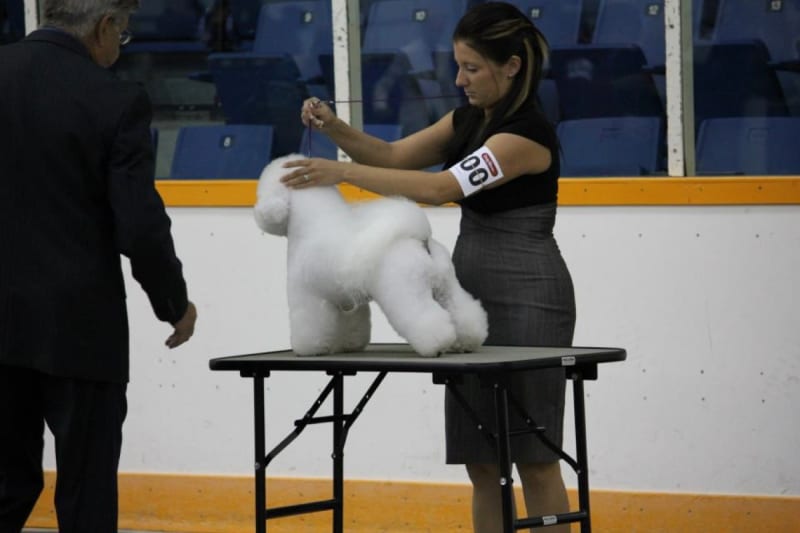 Balgonie, SK  PCA Dog Show Sept. 14 - 16th , 2012