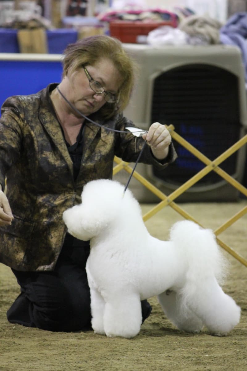 FORT GARRY KENNEL CLUB DOG SHOW OCTOBER 6th - 8th , 2012